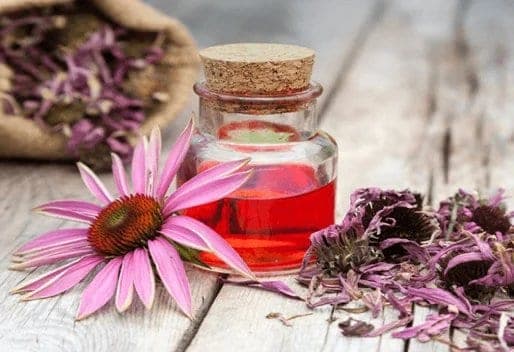 Devenir Naturopathe